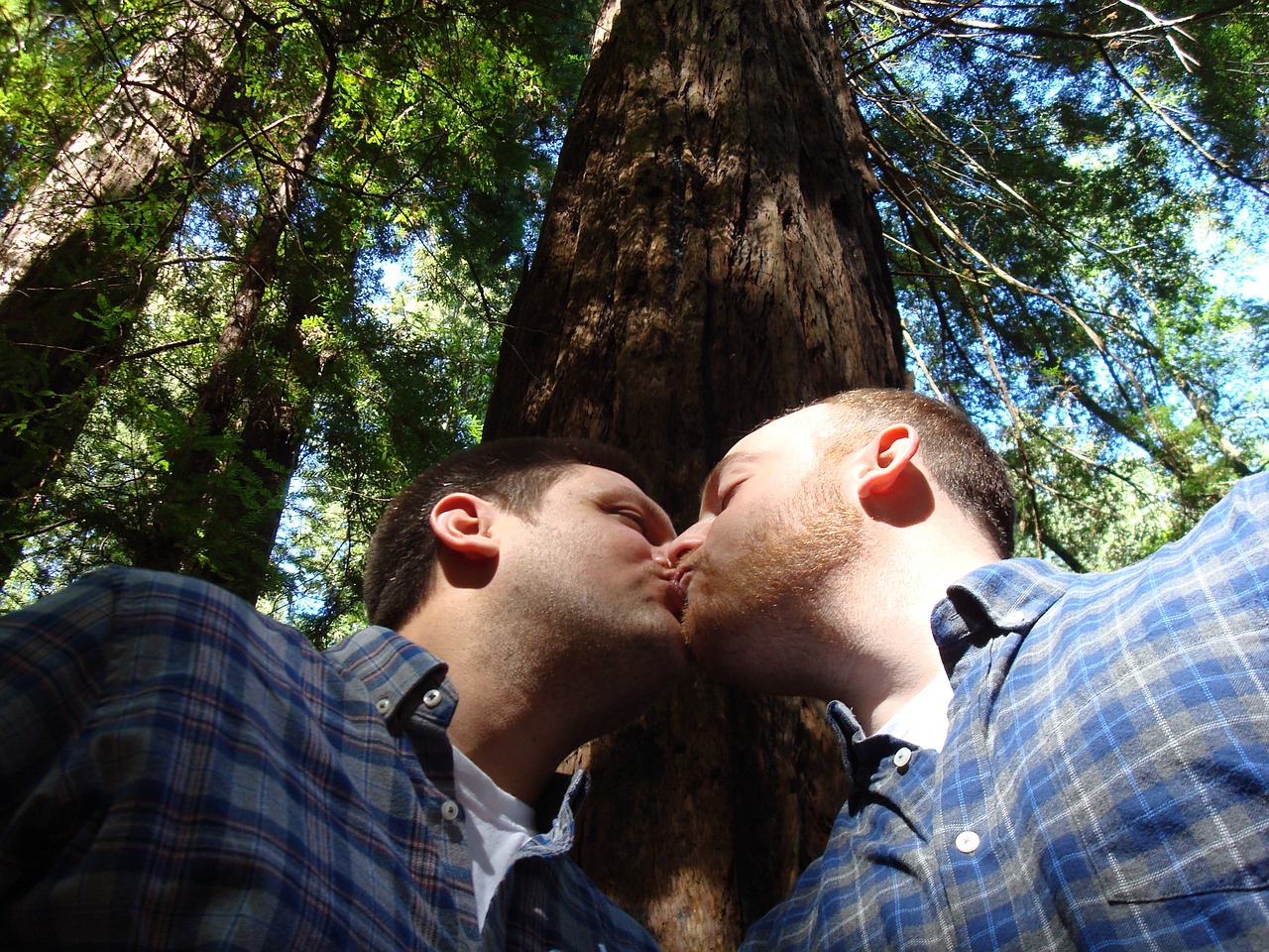 hombres besándose bajo un árbol